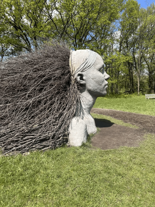 Morton Arboretum hair twigs