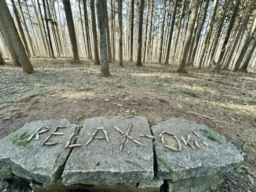 Relaxion sticks Morton Arboretum