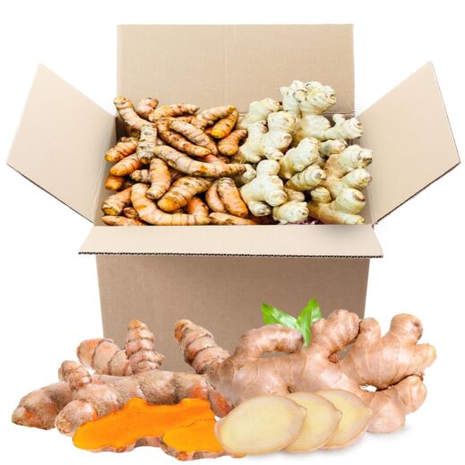 turmeric box Amazon