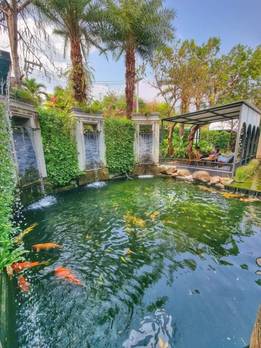 koi pond outside at Fleur Cafe & Eatery