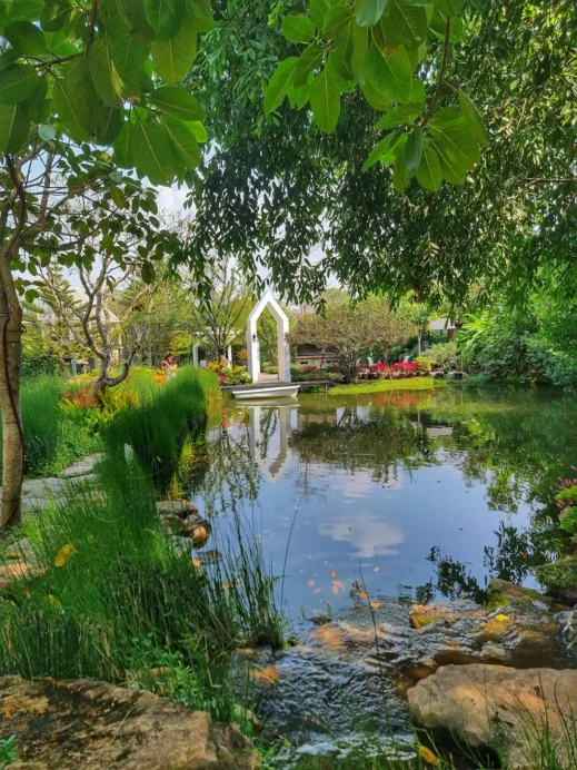 pond koi pond outside at Fleur Cafe & Eatery