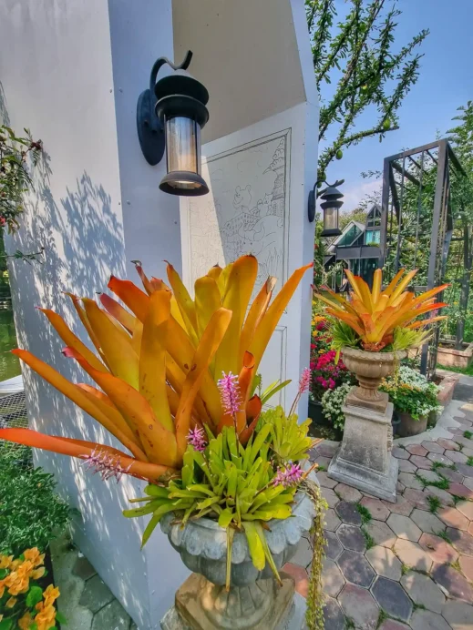 orange flowers outside Fleur Cafe & Eatery