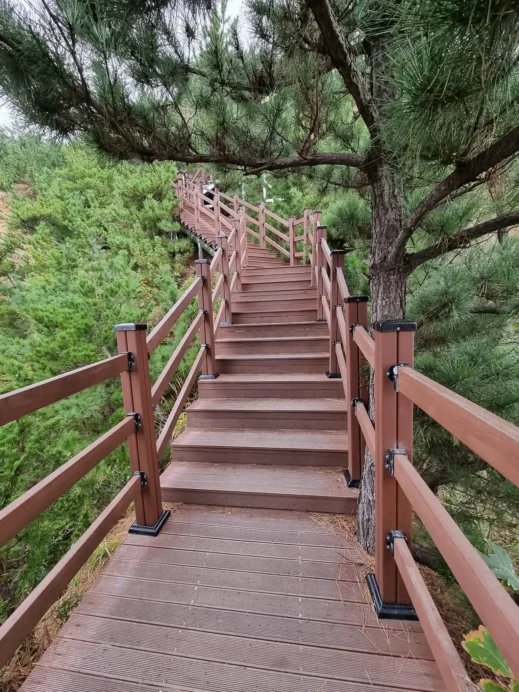Gangneung coastal walk