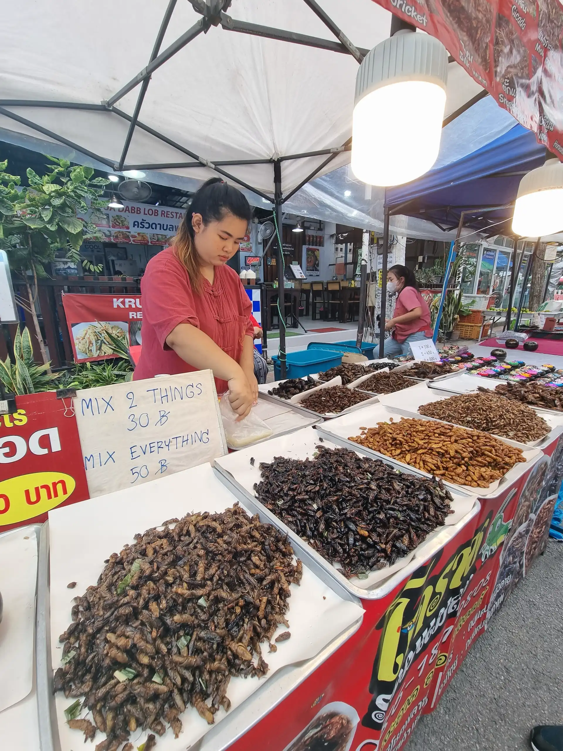 Thailand, Walking street Chiang Mai bugs