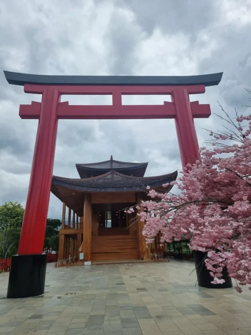 Hinoki Land, red torii gate, cherry tree