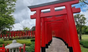 Hinoki Land, red torrii gate and lantern