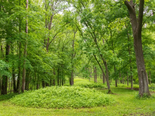 Effigy Mounds McGregor Iowa