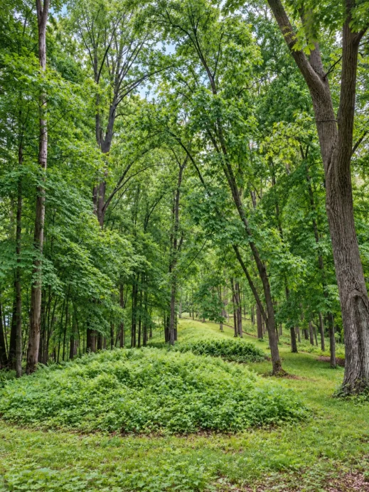 Effigy Mounds McGregor Iowa