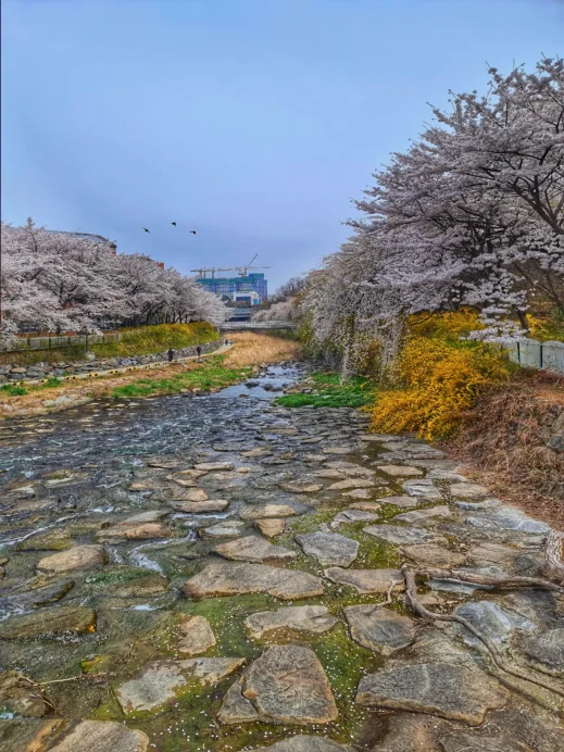 Uksucheon Promenade  river rocks