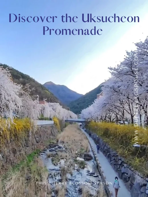 Uksucheon Promenade  Pinterest Pin