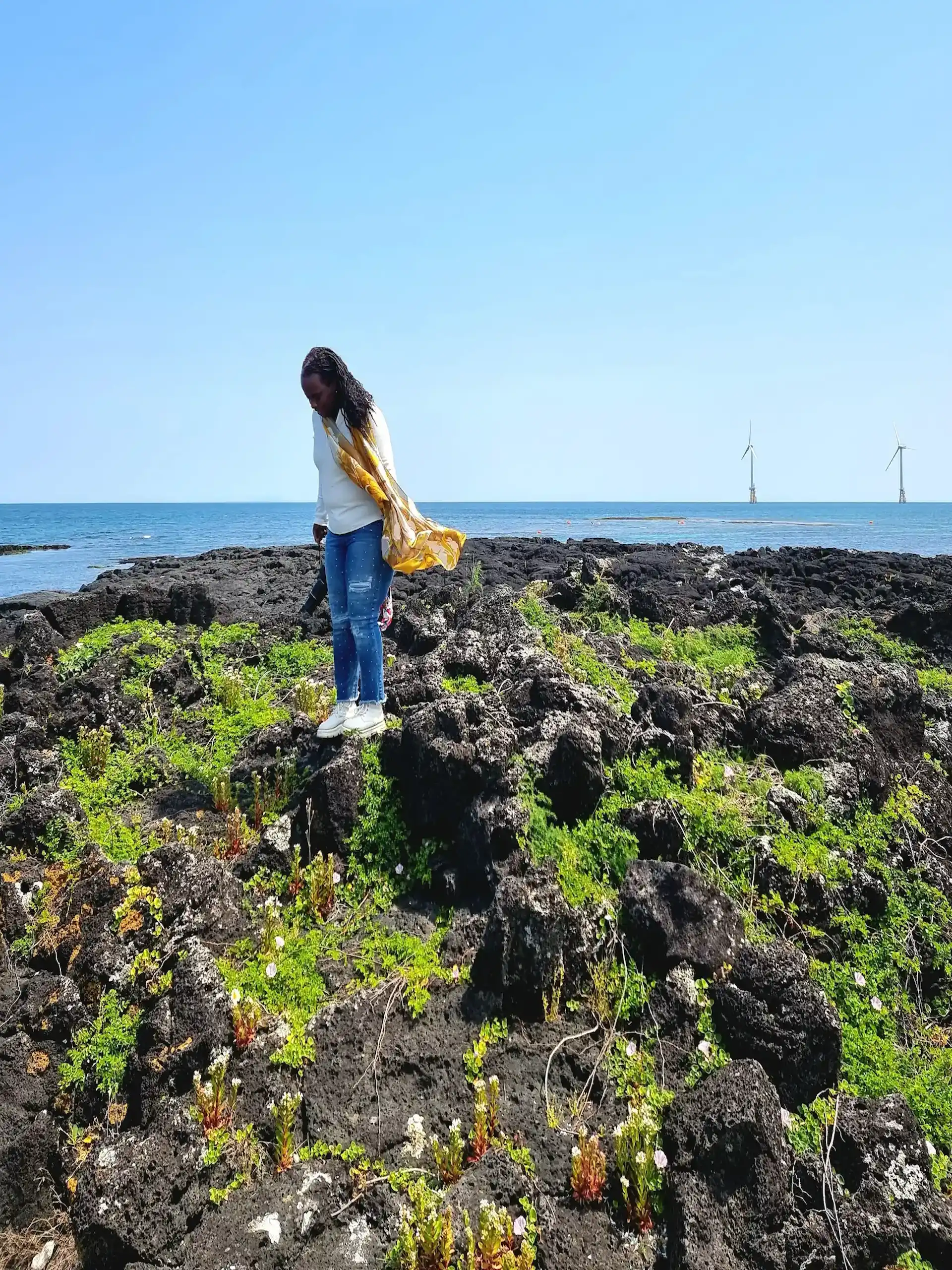Stacey green Jeju Island South Korea