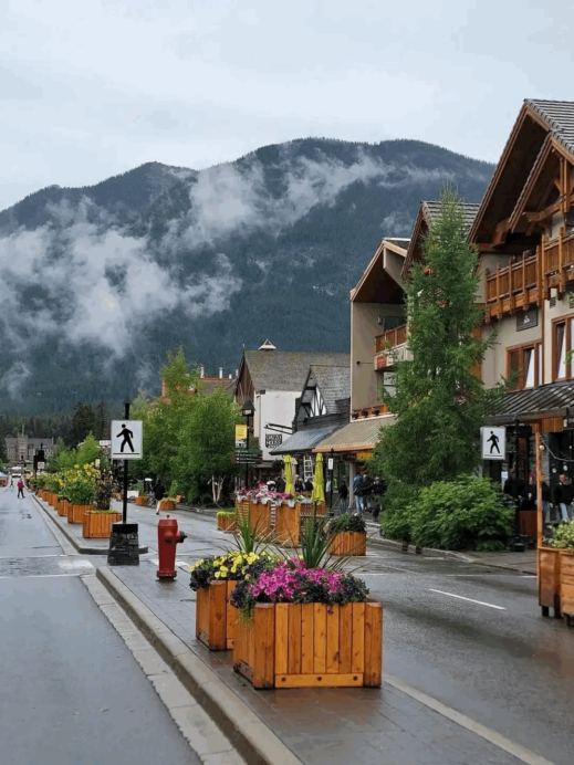 Snow-covered peaks and alpine forests in Banff, Alberta—a highlight of scenic Canadian travel.