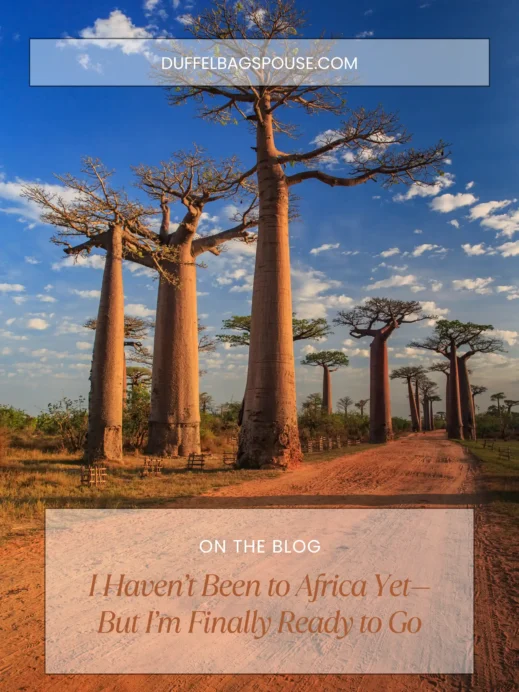 truth about africa, bobo trees