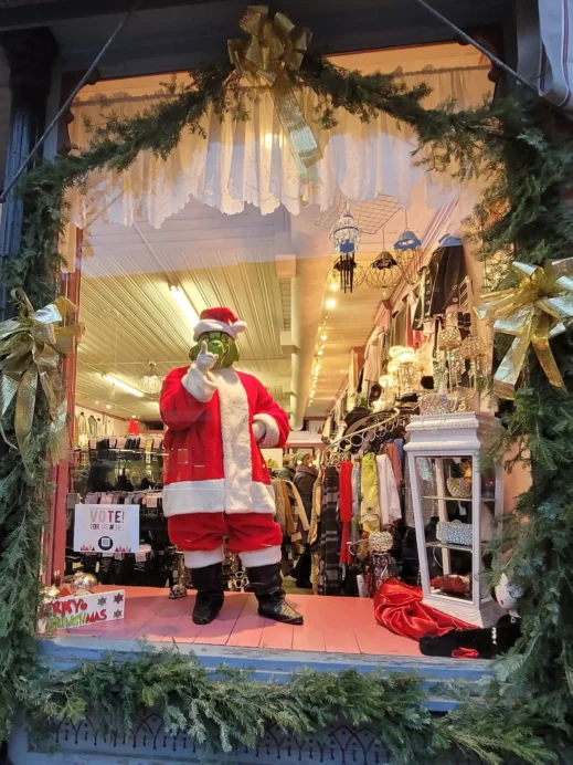 Galena 1 Grinch in the window