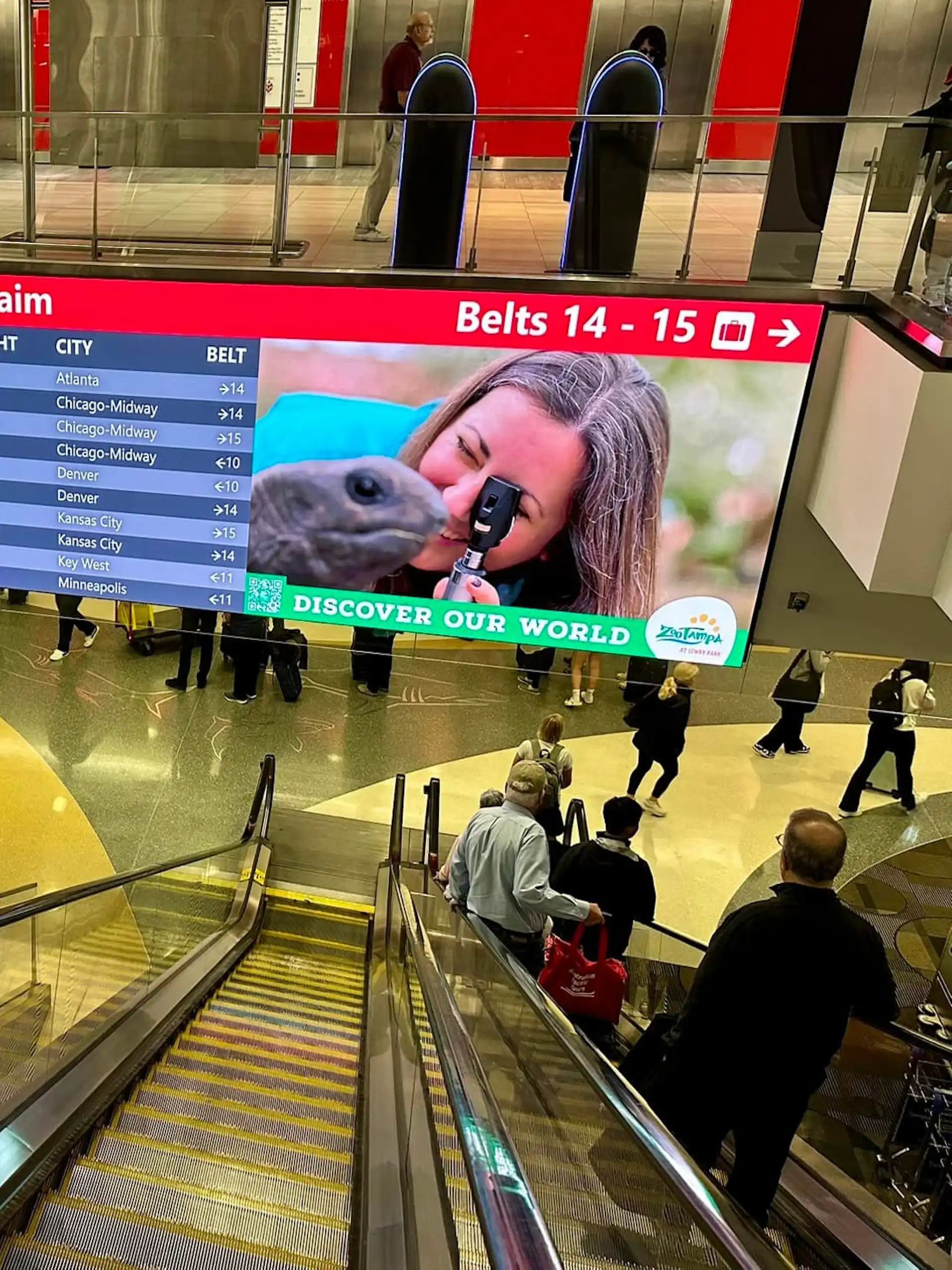 Airport monitors