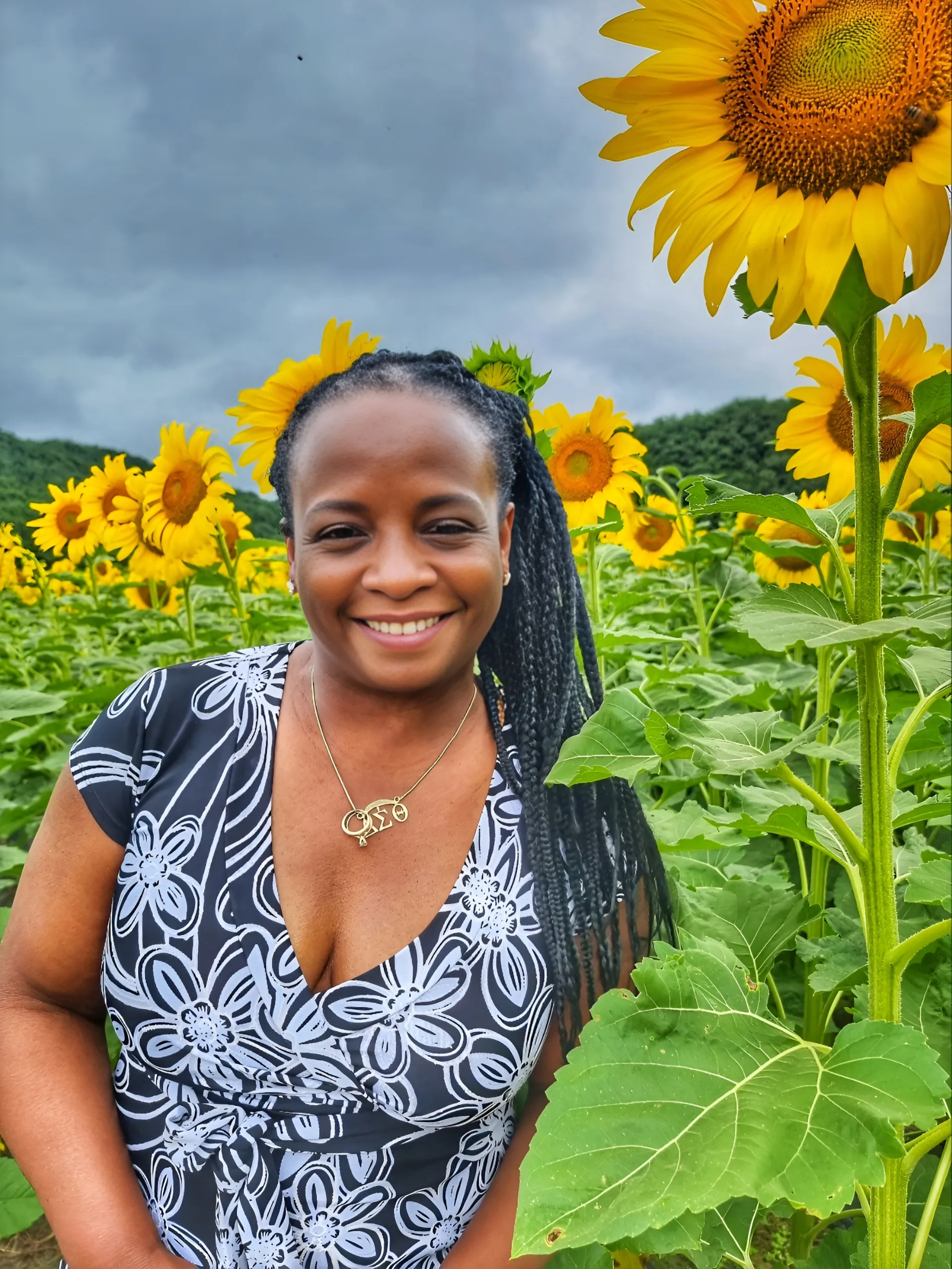 Stacey, sunflowers, Gyeongju