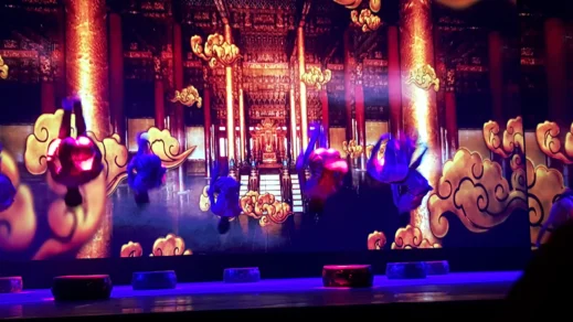 duffelbagspouse-China-Acrobats-Show-backflips