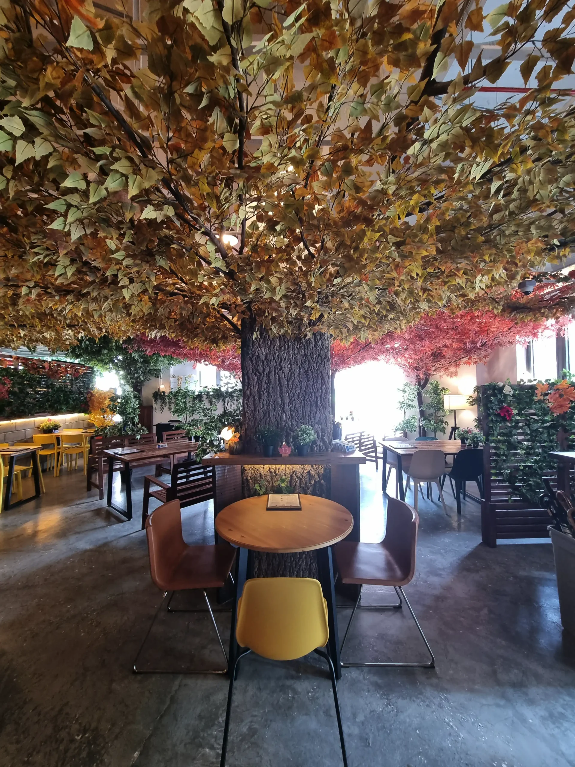 Cafe hopping in Singapore Cafe Kreams tree