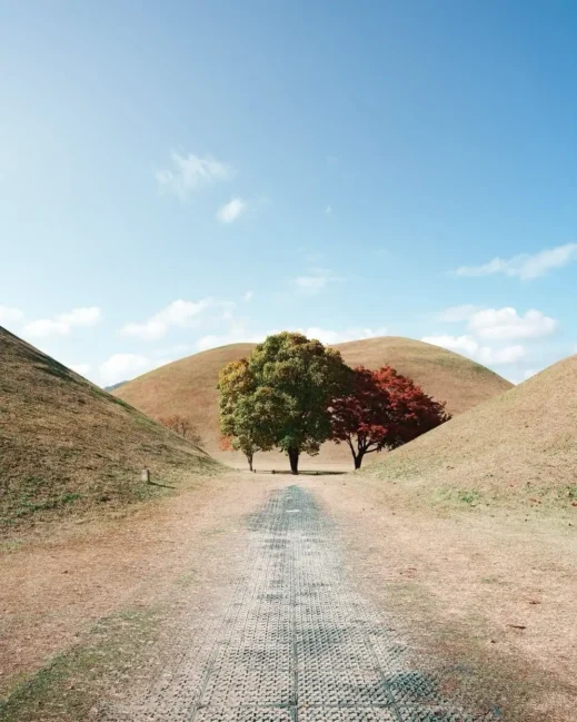 Gyeongju, silla, kings, tombs, winter