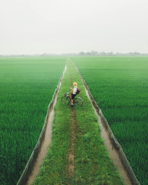 bike, rider, rice, paddies (Custom)