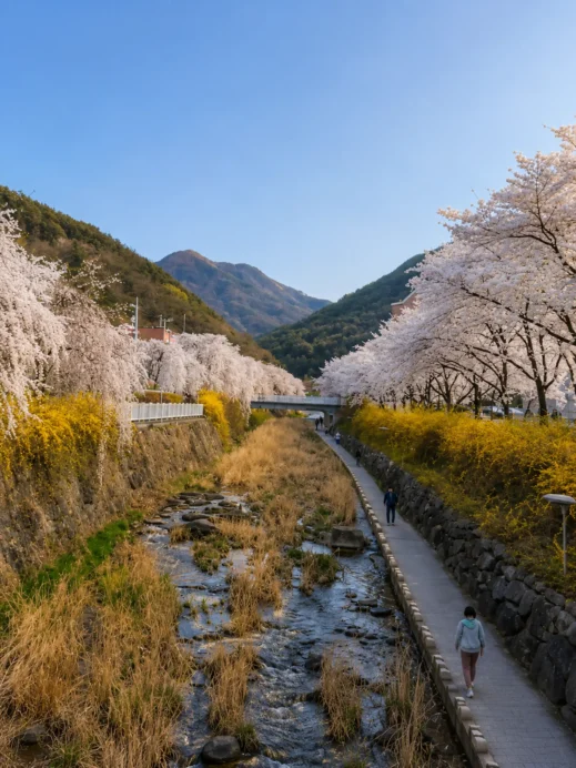 Uksucheon Promenade with walkers