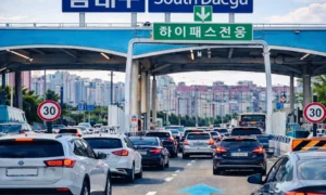 Hipass-30-kmh in Daegu South Korea