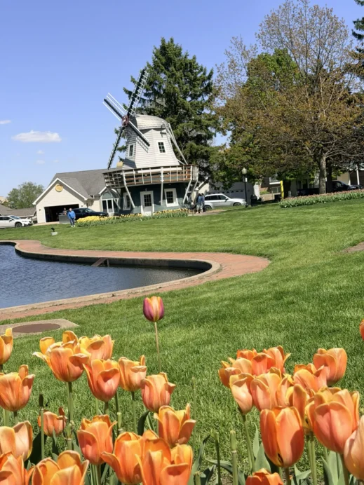 sunken garden Pella