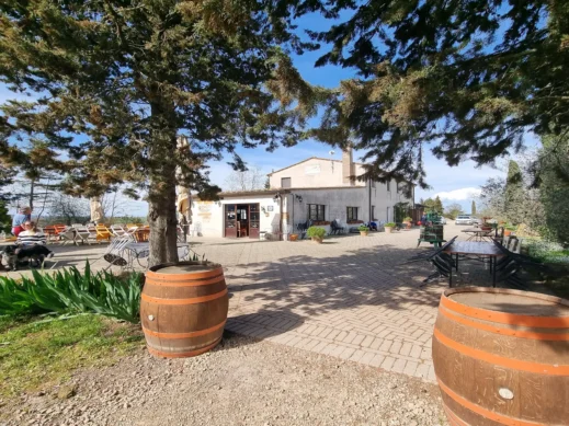 Il Vecchio Maneggio wine barrels