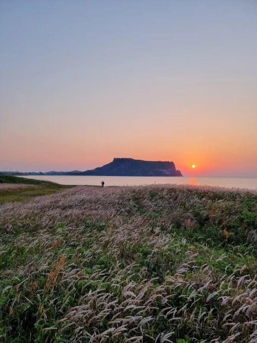 Jeju Photo Sunrise Peak blowing grasses