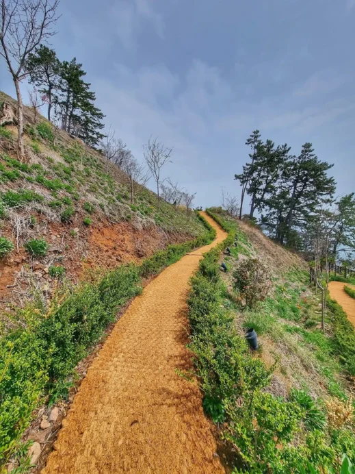 Moi Fin Cafe Yeosu South Korea hill trail