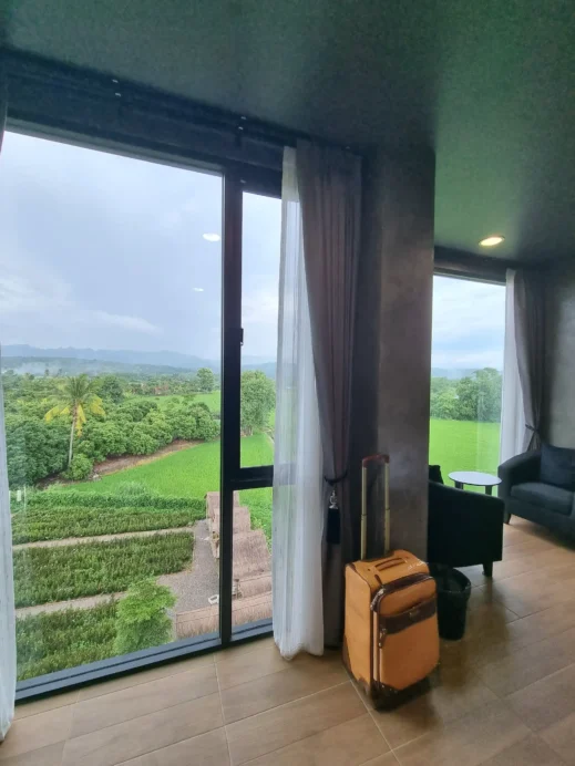 The View, the view, floor to ceiling windows