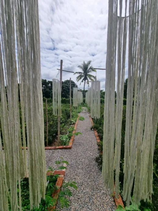 The View, white curtains, paths