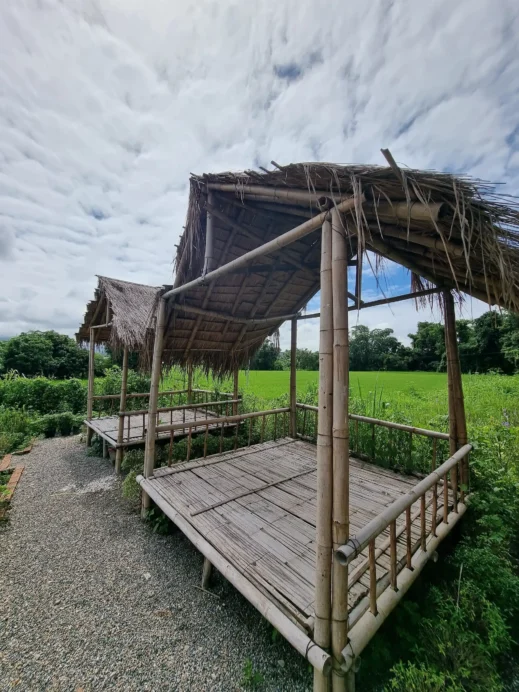 The View, wooden shacks, on gravel
