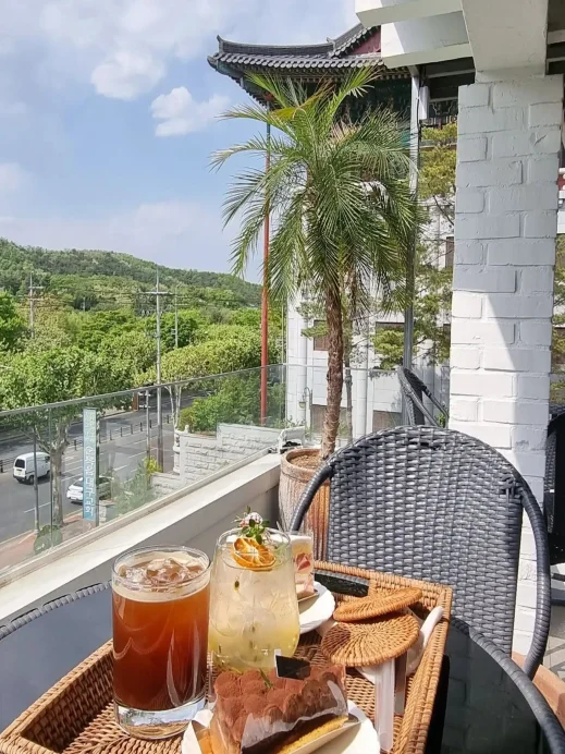 Daegu Cafe Tour, Sungdangmotville Cafe, plants