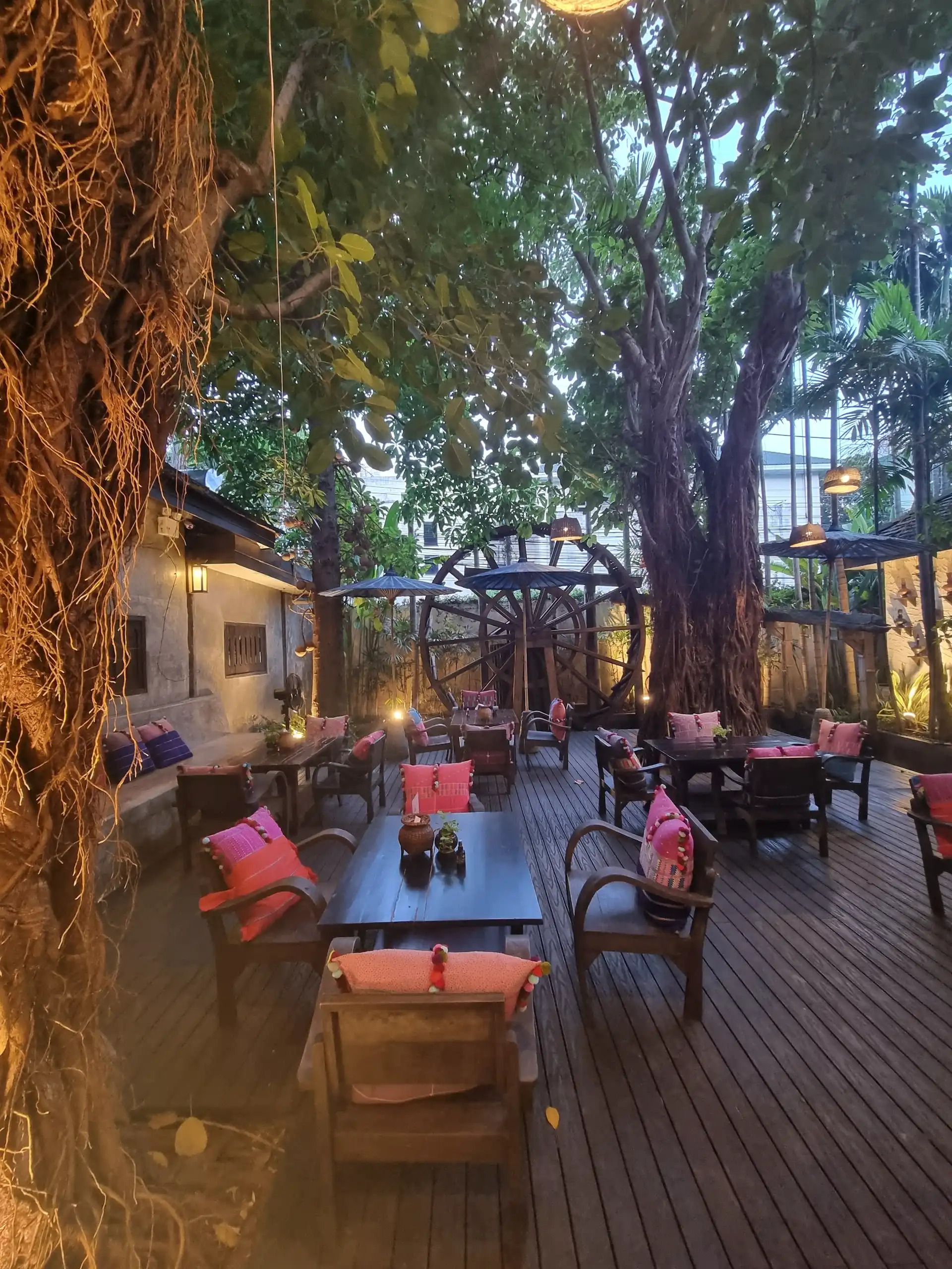 Jungle cafe Old Town Chiang Mai Thailand