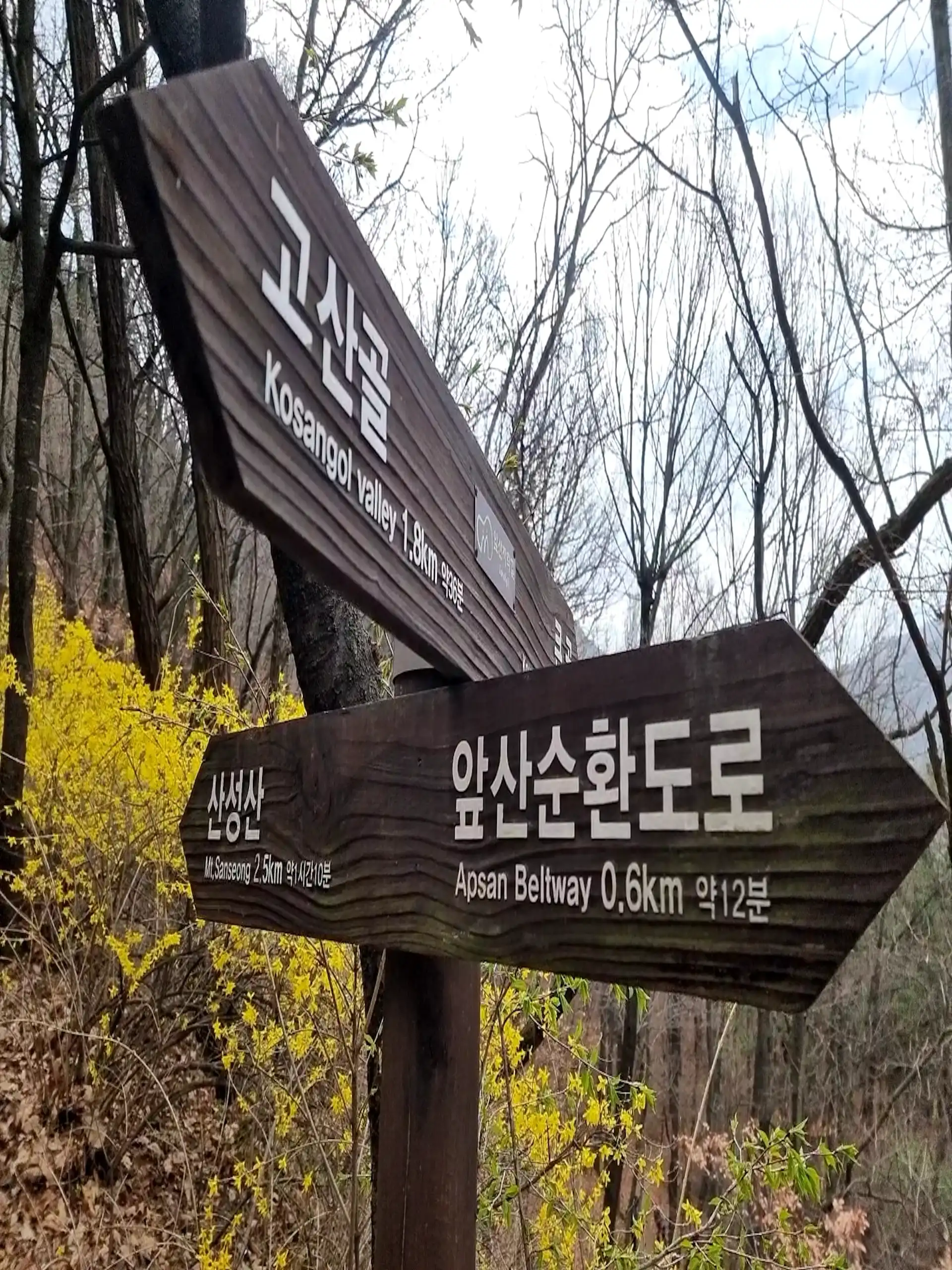 Kosangol Valley on Apsan Mountain Daegu