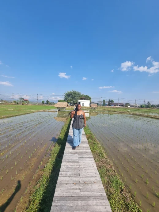 Lovespoon Cafe Chiang Rai Thailand Stacey rice field