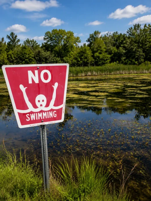 Obviously-no-swimming
