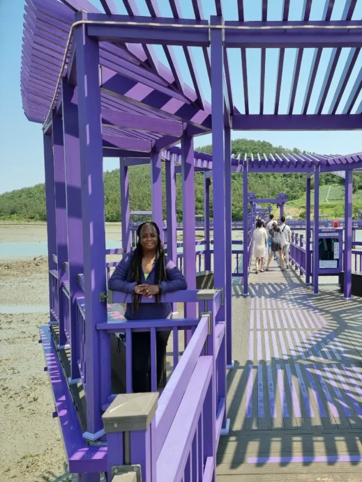 Purple Island Stacey under Arbor