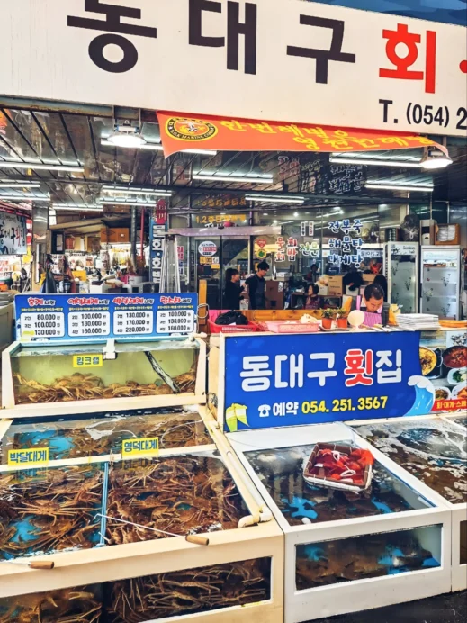 Seomun Market, Daegu, seafood tanks