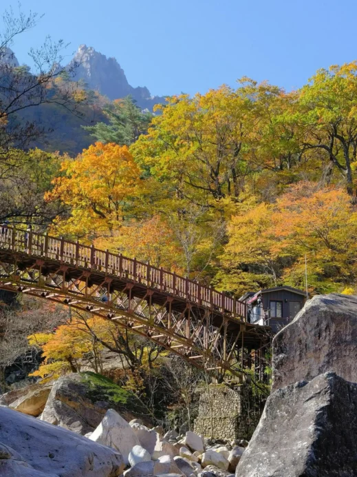 Seoraksan National Park, bridge, National Park, South Korea