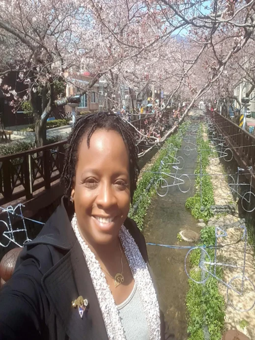 Stacey Jinhae cherry blossoms