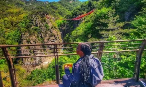 Stacey Y-shaped Gachang Bridge