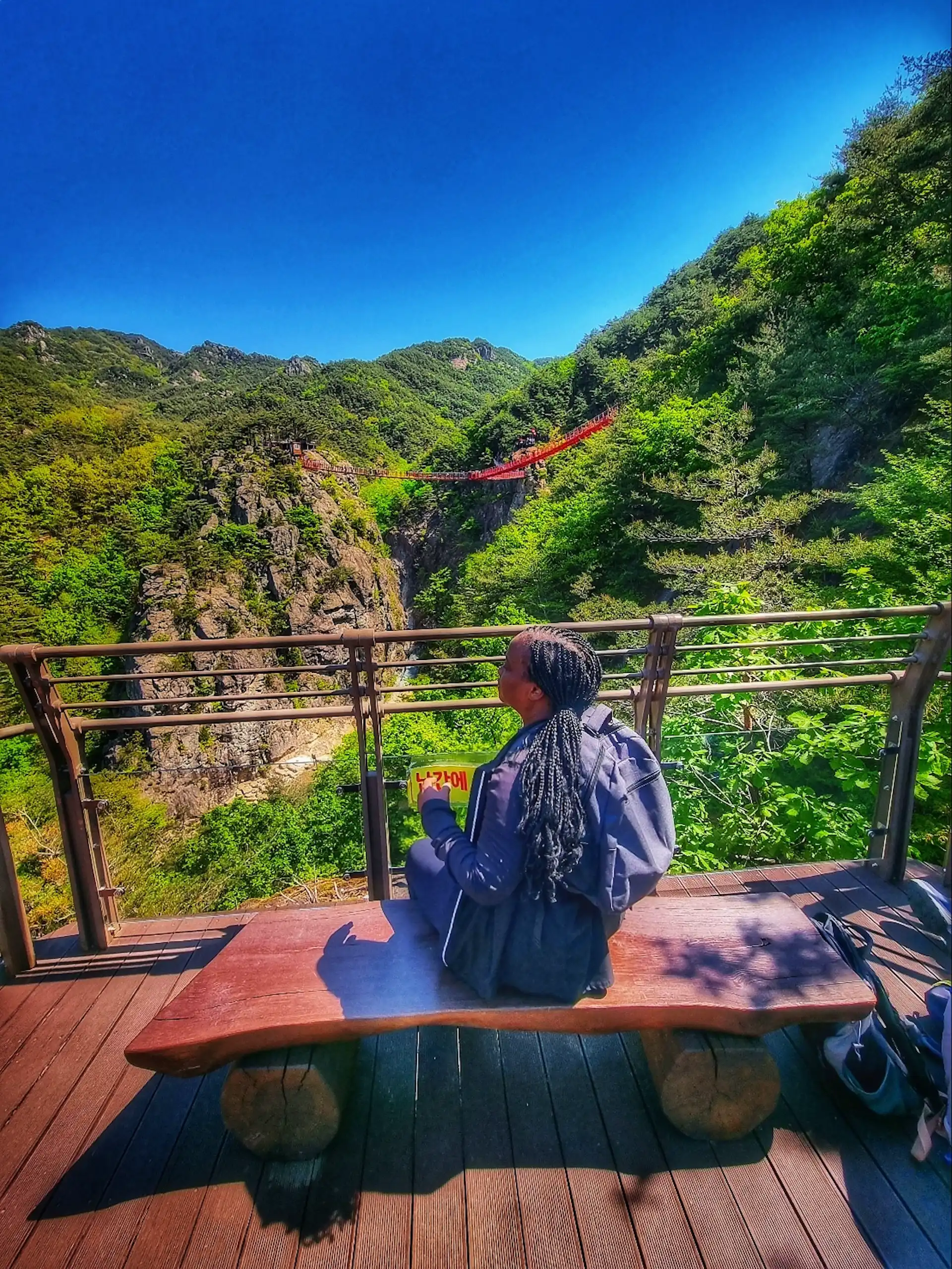 Stacey Y-shaped Gachang Bridge