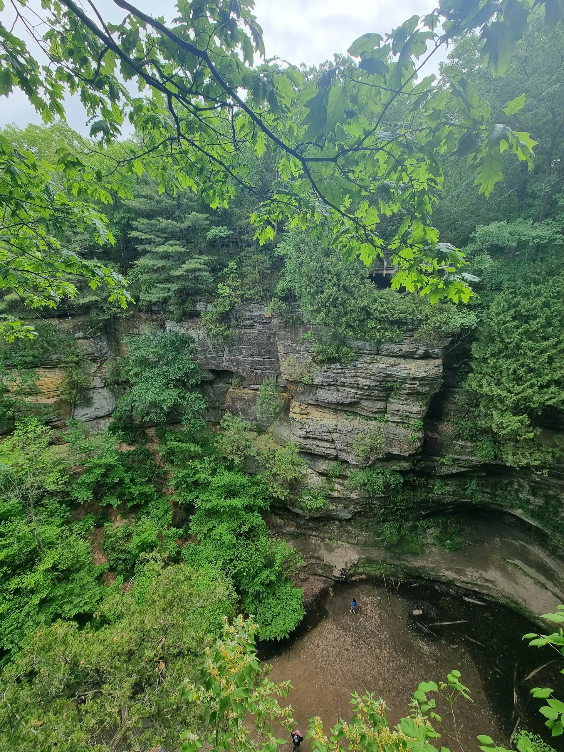Starved Rock Canyon dripping water