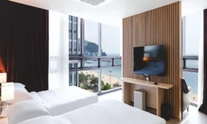 Sunset Business Hotel bedroom windows