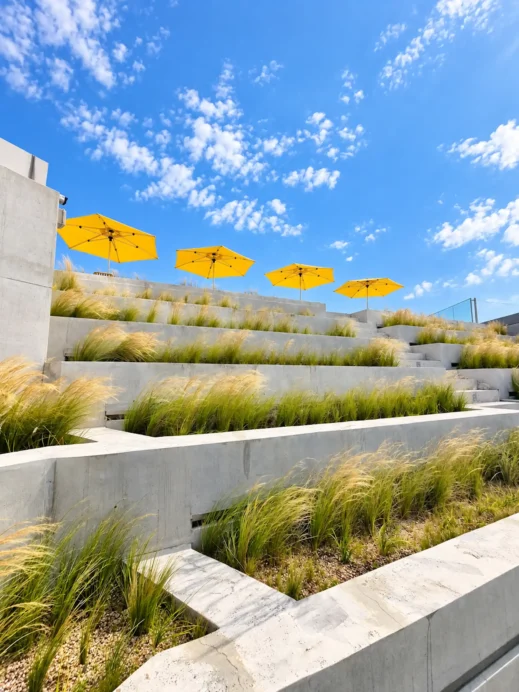 Greetvi Cafe, Terraced Grasses Yellow Umbrellas