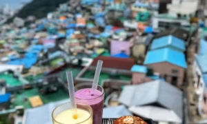 Snack, Gamcheon Village, Busan, south korea