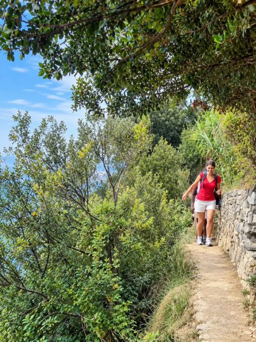 Sunlit Mediterranean Trail Hike