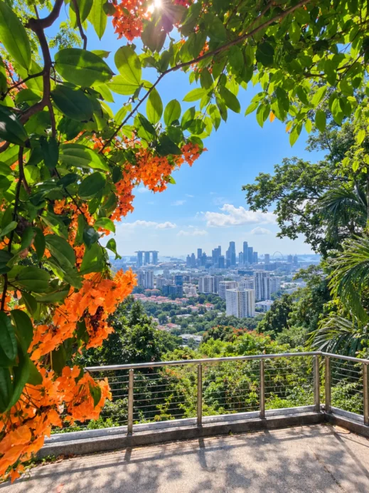 Faber Point, view of Singapore, cable car